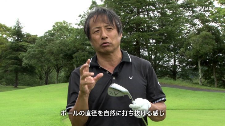 Callaway MACK DADDY FORGED ウェッジ 試打インプレッション｜プロゴルファー 金谷多一郎