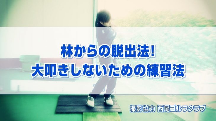 林からの脱出法！大叩きしないための練習法｜アイアンで低いボールを打つ方法｜PGAティーチングプロ 竹内雄一郎