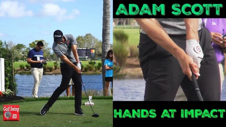 Adam Scott アダム スコット ドライバーショット 正面アングル スロー再生あり 手元のクローズアップ 高画質 ゴルフの動画