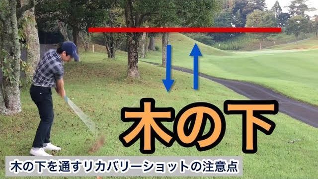 木の下を通すリカバリーショットの注意点｜強くて低い球を打つコツ