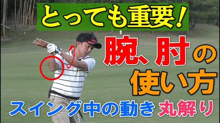とっても重要！ゴルフスイングにおける「腕」と「ひじ」の使い方｜ゴルフのスイングは腕相撲で例えると「負けている状態」を使って行います
