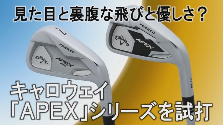 キャロウェイ APEX アイアン vs APEX PRO アイアン（2019年モデル） 比較 試打インプレッション｜プロゴルファー 中村修 堀口宜篤