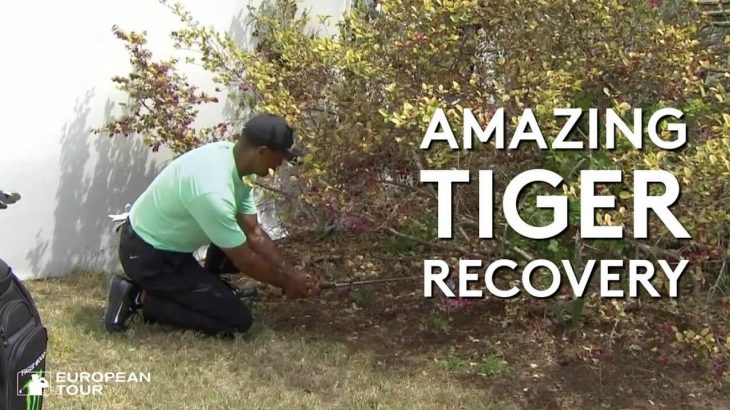 さすが Tiger Woods（タイガー・ウッズ）！ブッシュの中からナイスリカバリー！