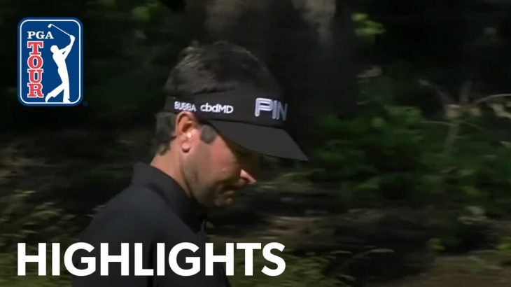 Bubba Watson（バッバ・ワトソン） Highlights｜Round 2｜Travelers Championship 2019