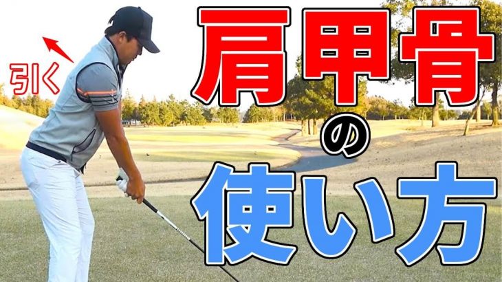 ドライバーのミート率を安定させる肩甲骨の使い方｜アドレスで肩甲骨を引けば身体が速く動いても腕がしっかり付いてくる｜プロゴルファー 伊東大祐