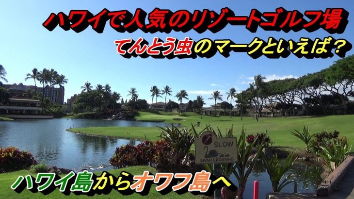 ハワイ島・オアフ島で人気のリゾートゴルフ場｜『ワイコロアビーチリゾートゴルフ』『コオリナゴルフクラブ』でラウンド｜プロゴルファー 菅原大地