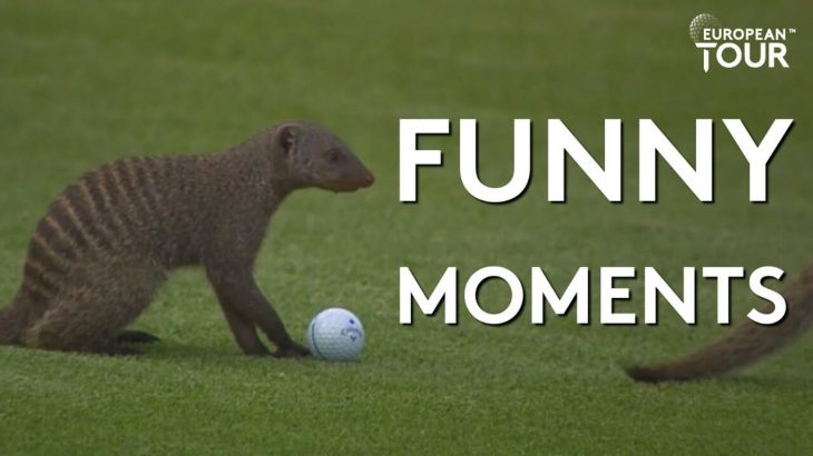 今年の European Tour（欧州男子ゴルフツアー）で面白かった出来事｜Funniest Moments of the Year | Best of 2019