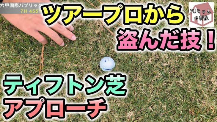 ツアープロから盗んだ技！ティフトン芝からのアプローチの打ち方｜マイゴルフ さしみプロ