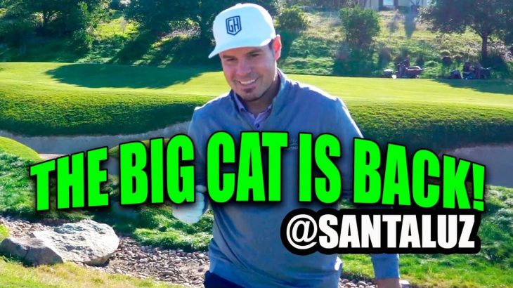 THE BIG CAT IS BACK AND BETTER THAN EVER!