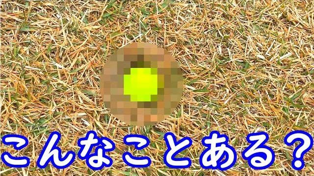 こんな事ってある？霧が晴れてきたゴルフ⑥｜釣りよか よーらい、こだま