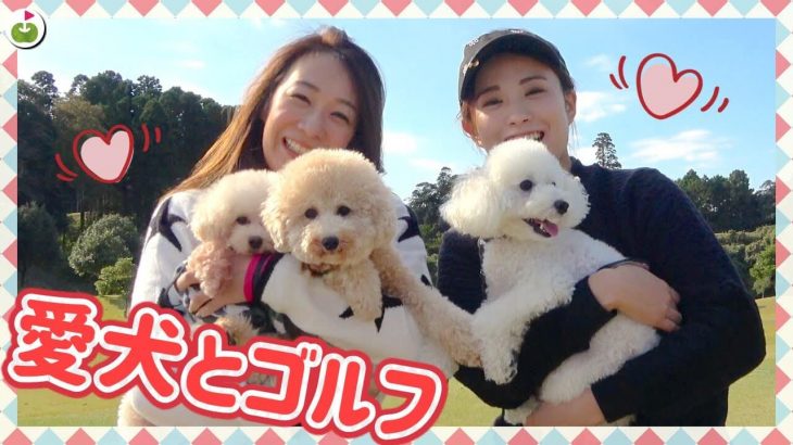 リンゴルフの「じゅんちゃん」がずっとやりたかった企画がやっと叶いました！【愛犬と一緒にゴルフ①】