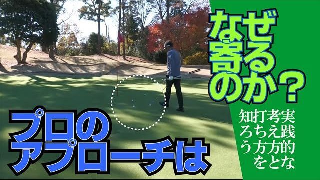タグ：星野英正│ゴルフの動画